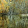 Fading season