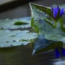 水鏡２