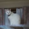 起きている時もあるんですよ。（＝ΦωΦ＝）  01