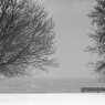 Walkin' in a Winter Wonderland - 16