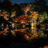 錦秋の龍臥橋から見る風景(玄宮園より）