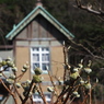 横浜市　旧柳下邸