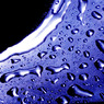 a drop of water
