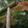 京都12