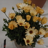DSCF0580