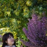 s-DSC_0669