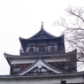 天守閣に鳶_広島城