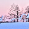夕日と共に去り行く