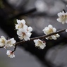 雨の色