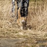 ついて来い♪