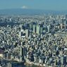 平日の富士山195