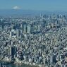 平日の富士山199