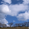 冬の牧場の空