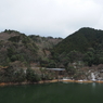 P2123412