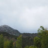 P2123440