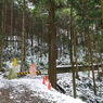P2123442