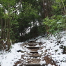 P2123445