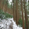 P2123448