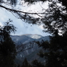 P2123450