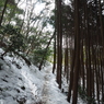 P2123453