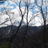 P2123454