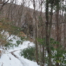 P2123462