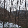 P2123463