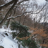 P2123468