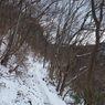 P2123469