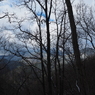 P2123475