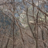 P2123477