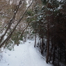 P2123480