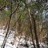 P2123483