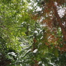 P2123484