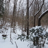 P2123492
