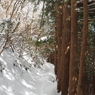 P2123497
