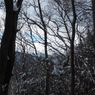 P2123513
