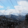 P2123522