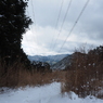 P2123530