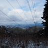 P2123531