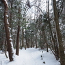 P2123542