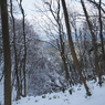 P2123545