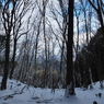 P2123550