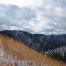 P2123580