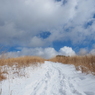 P2123588