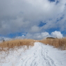 P2123590