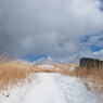 P2123591
