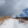 P2123594