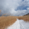 P2123598