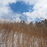 P2123600